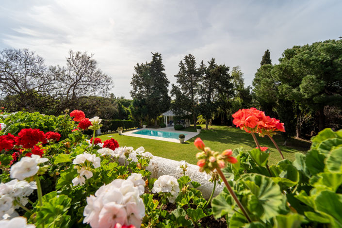 Image No.1-8 Bed Villa for sale