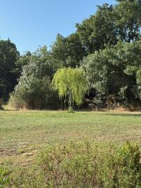 IMG_1577