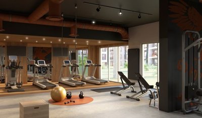 gympdlm4-1
