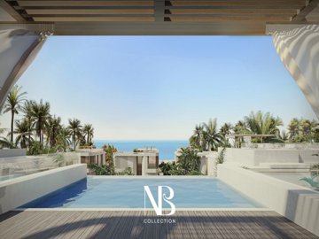nbcollection-rooftoppoolmftlcn