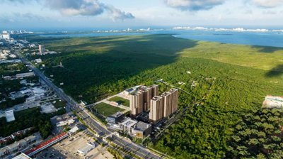 manglar-cumbres-cancun-11