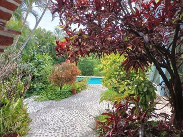 1 - Morelos, House