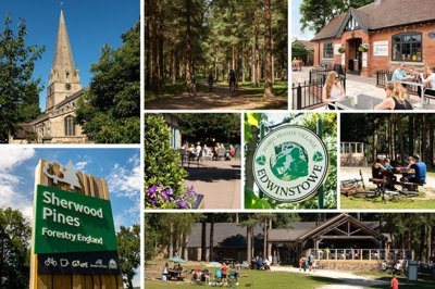 thoresby-vale-local-area-collage