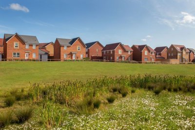 009-bgwigstonmeadowsleicesterradleighalderney
