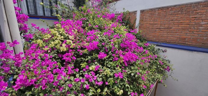 Image No.1-3 Bed House for sale