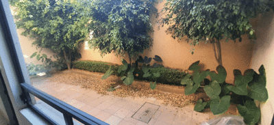 1 - , Maison