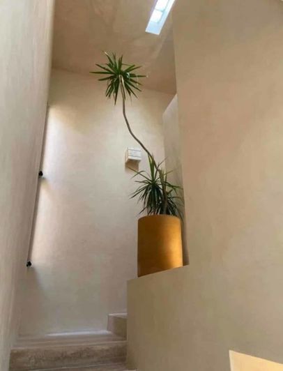 Image No.1-House for sale