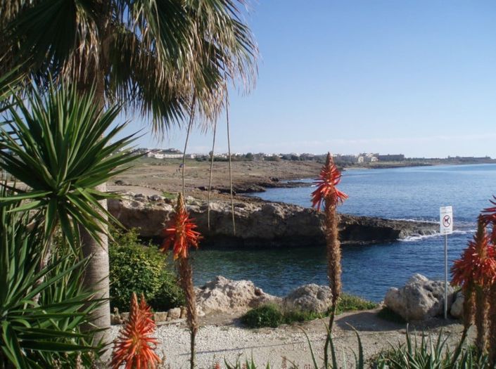 Image No.3-Maison de 6 chambres à vendre à Chlorakas