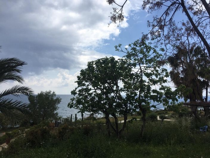 Image No.7-Maison de 6 chambres à vendre à Chlorakas