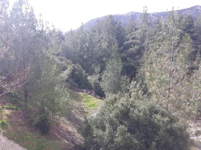 Image No.5-4 Bed House for sale