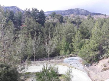 149660-bungalow-for-sale-in-pera-pediorig