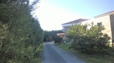 161819-detached-villa-for-sale-in-dalifull