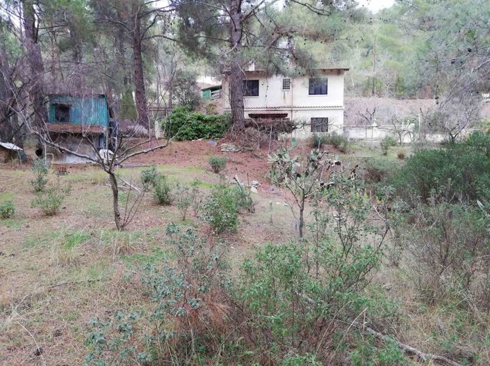 Image No.6-3 Bed House for sale