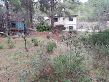 187037-detached-villa-for-sale-in-moniatisori