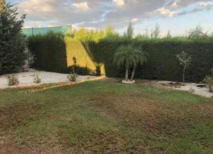 Image No.4-Maison de 3 chambres à vendre à Mouttagiaka