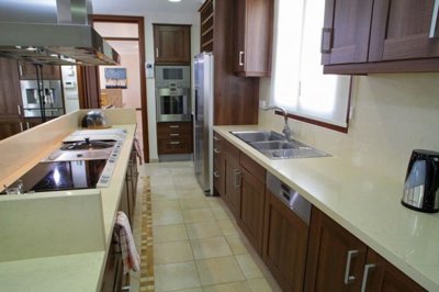 339034-detached-villa-for-sale-in-acheleiaful