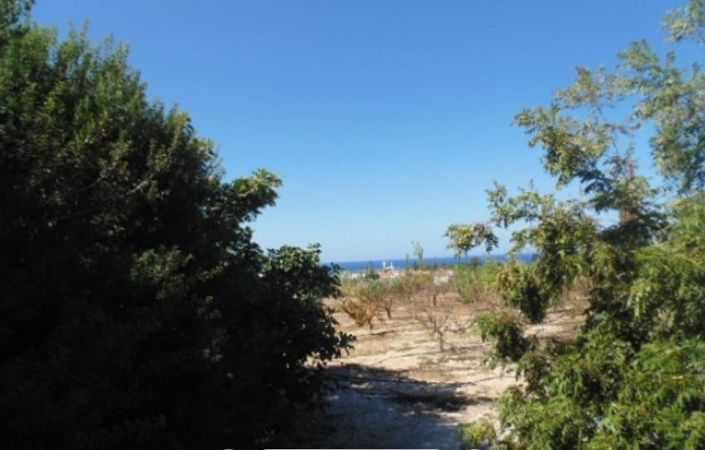 Image No.4-5 Bed House for sale