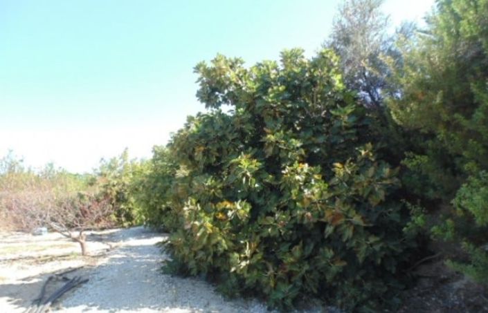 Image No.7-5 Bed House for sale