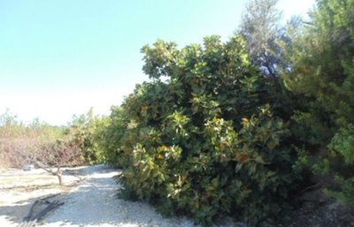 365966-detached-villa-for-sale-in-pegia-st-ge