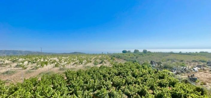 Image No.3-4 Bed House for sale