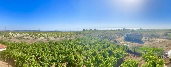 Image No.7-4 Bed House for sale