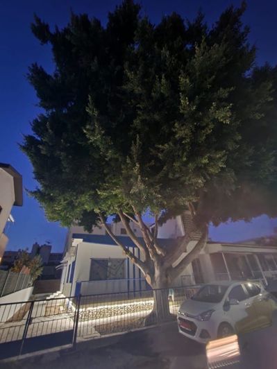 Image No.3-5 Bed House for sale