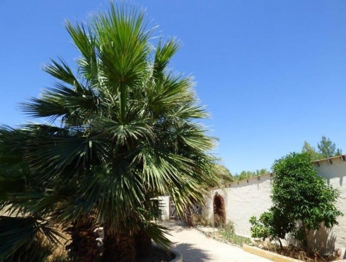 Image No.1-4 Bed House for sale