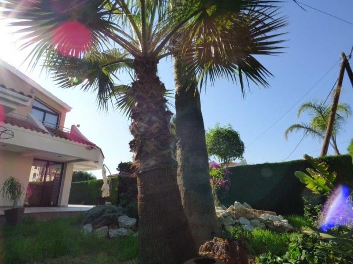 Image No.3-Maison de 4 chambres à vendre à Oroklini