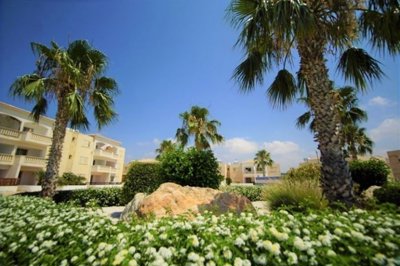 555899-apartment-for-sale-in-mandriafull