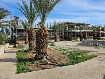 587164-detached-villa-for-sale-in-zygiorig