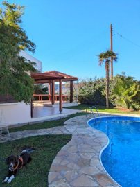 610211-detached-villa-for-sale-in-pissouriful