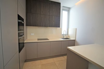 198586-penthouse-for-sale-in-neapolisorig