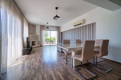 613699-penthouse-for-sale-in-mouttagiakaorig