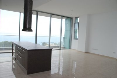 610541-high-rise-apartment-for-sale-in-potamo