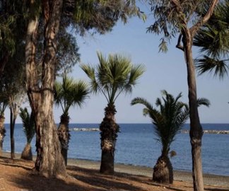 109440-apartment-for-sale-in-mouttagiakafull