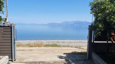 20230508113316-scaled