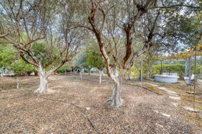 property-for-sale-in-vamos-7