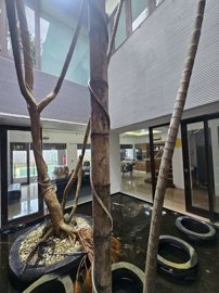 1 - Denpasar, Property