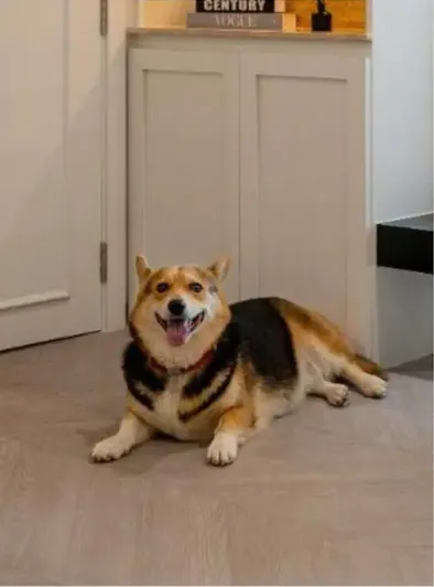 Image No.2-Propriété de 3 chambres à vendre à Bangkok