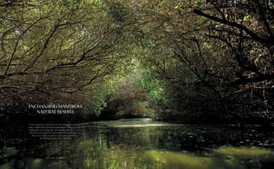 rz07mqwukkaxtfmyf2vg36slaa-1-scaled