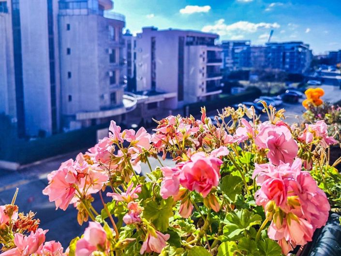 Image No.2-2 Bed Property for sale