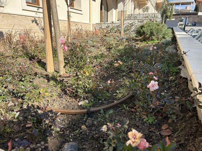 Image No.9-Propriété de 1 chambre à vendre à Kosharitsa