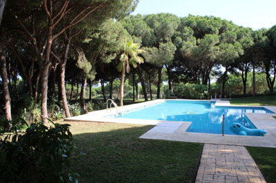 Marbella Luxury Homes most sold property
