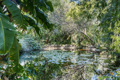 4-c23c0f86247804fa50226aecd8b0b2c8