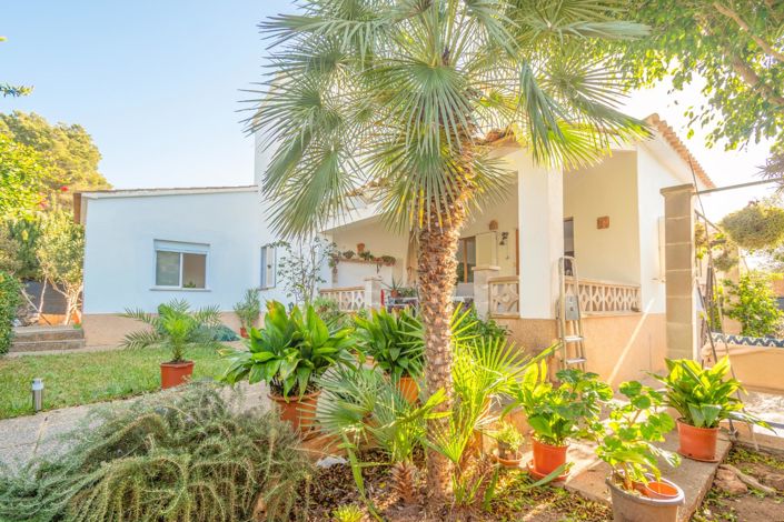 Image No.4-Jumelé de 4 chambres à vendre à Llucmajor