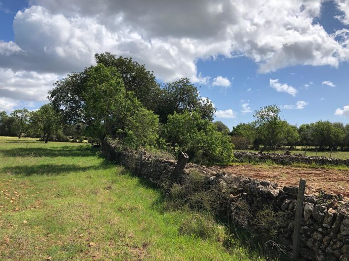 Image No.11-Propriété à vendre à Felanitx