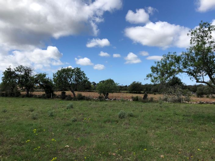 Image No.14-Propriété à vendre à Felanitx