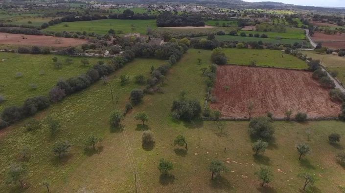 Image No.9-Propriété à vendre à Felanitx