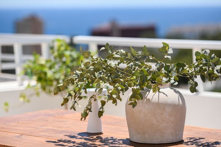 Image No.39-4 Bed Penthouse for sale