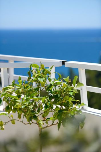 Image No.44-4 Bed Penthouse for sale